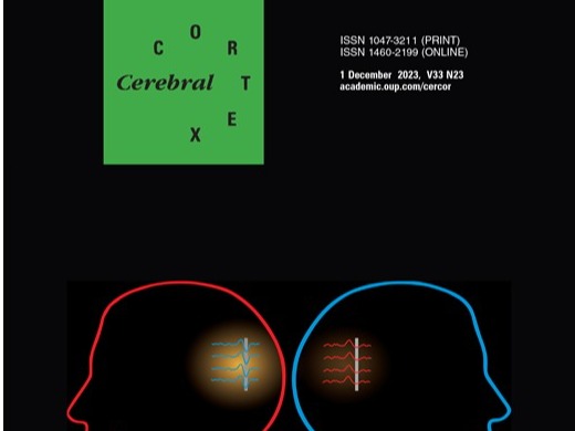 科研成果｜何振宏助理教授课题组的研究成果在Cerebral Cortex上在线发表